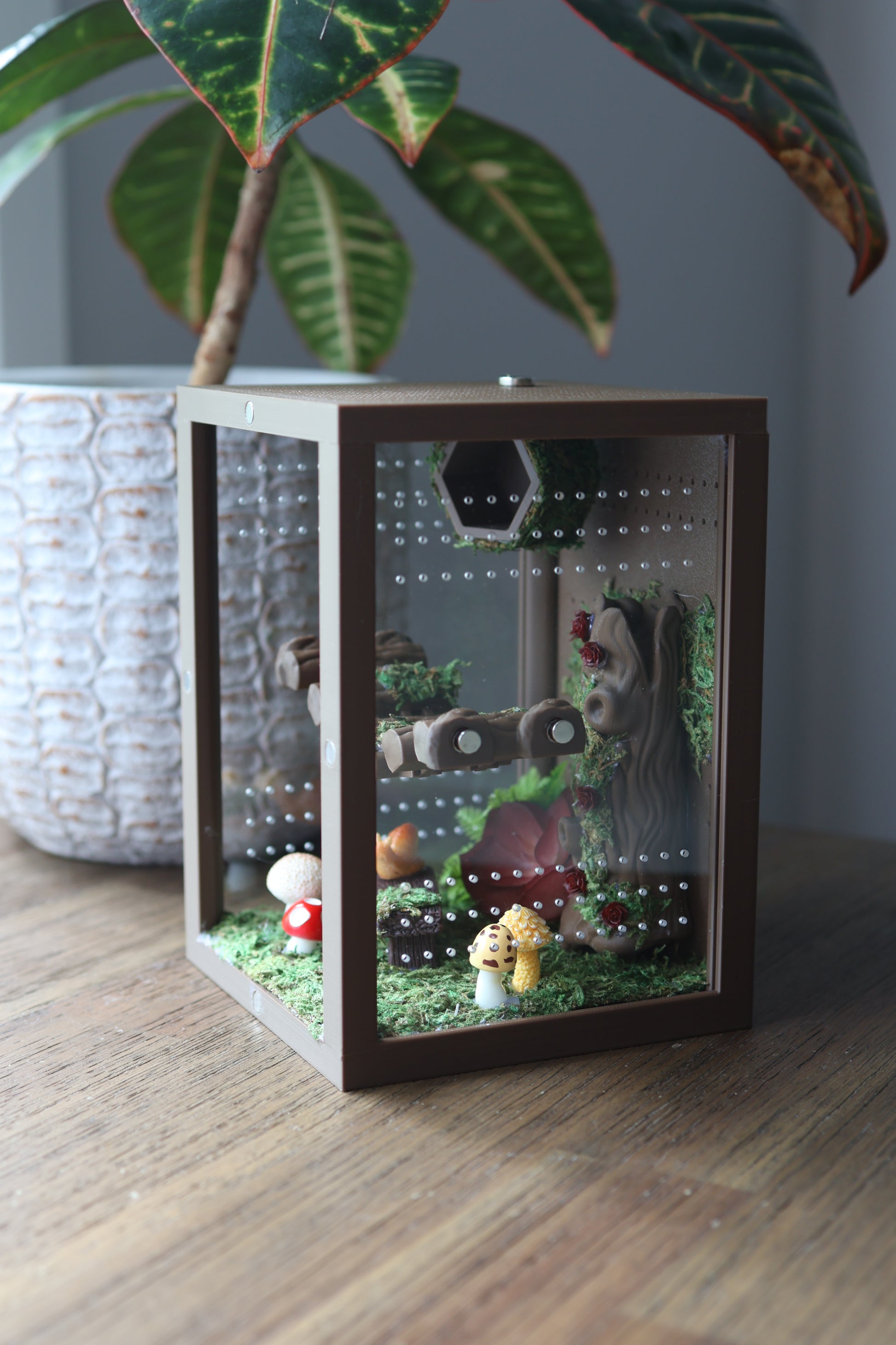 Custom 3D printed forest enclosure for jumping spiders