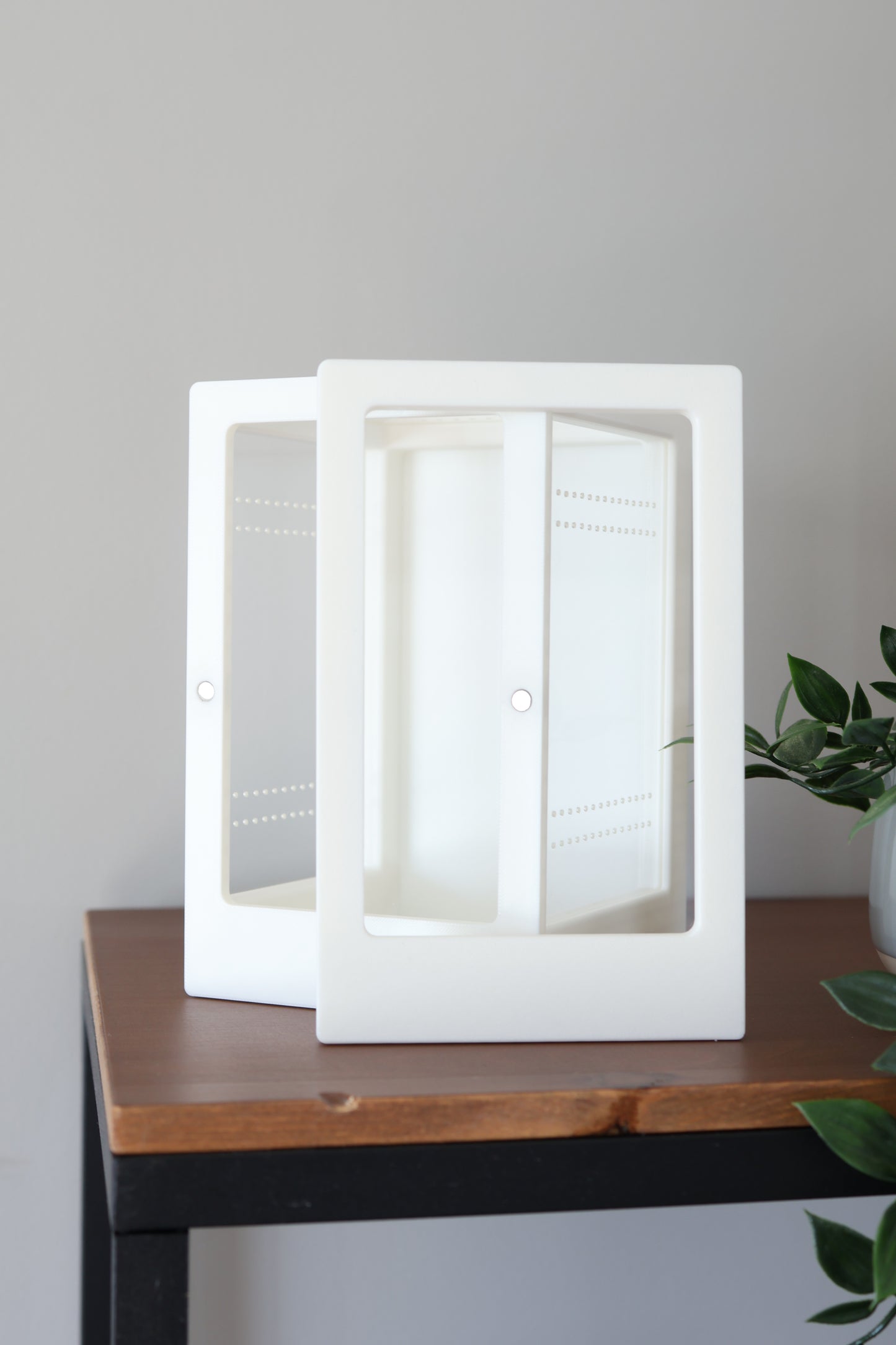 Biodegradable PLA and plexiglass jumping spider enclosure
