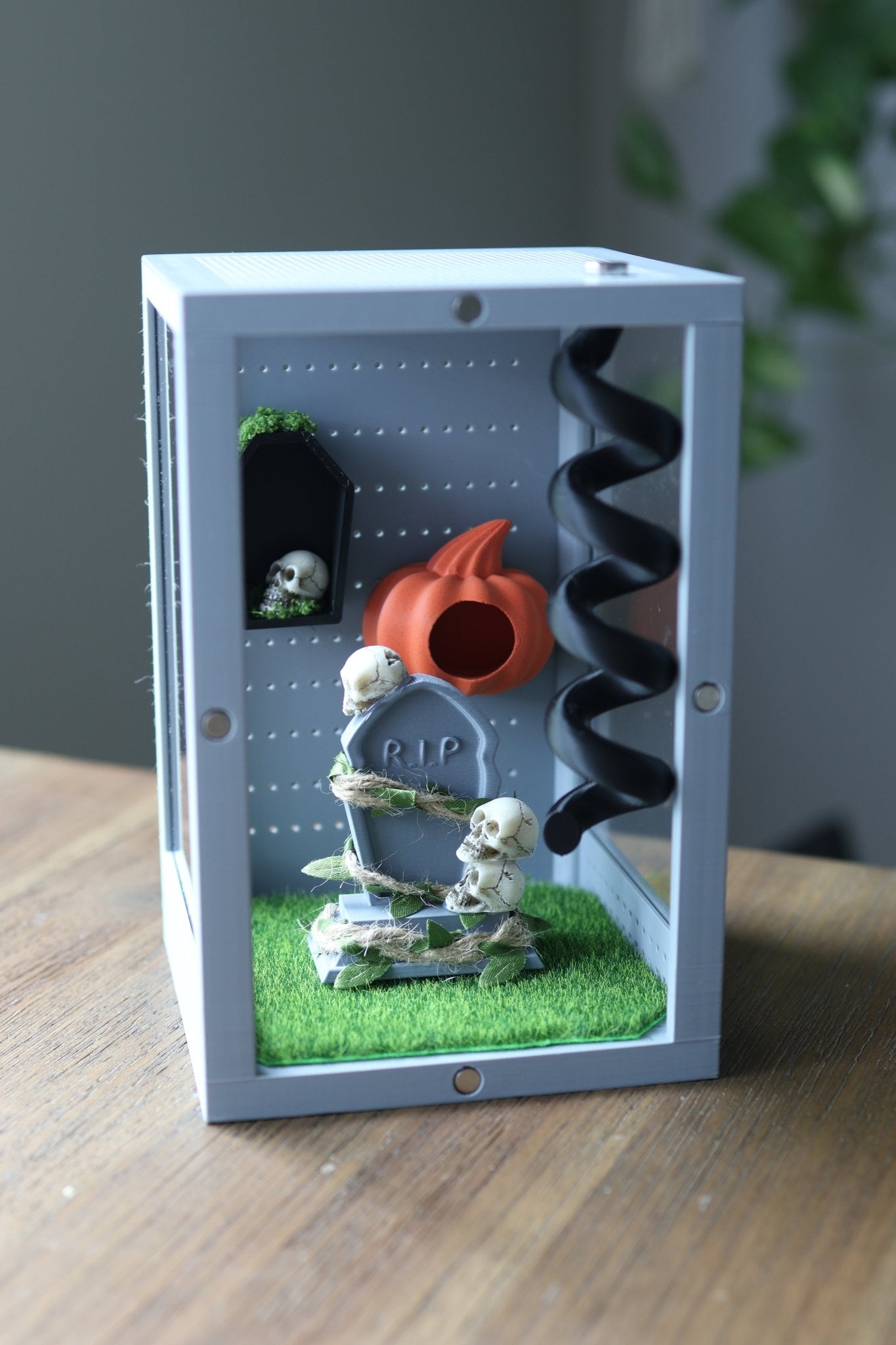 Jumping spider enclosure with hide, spiral and tombstone decor accessories 