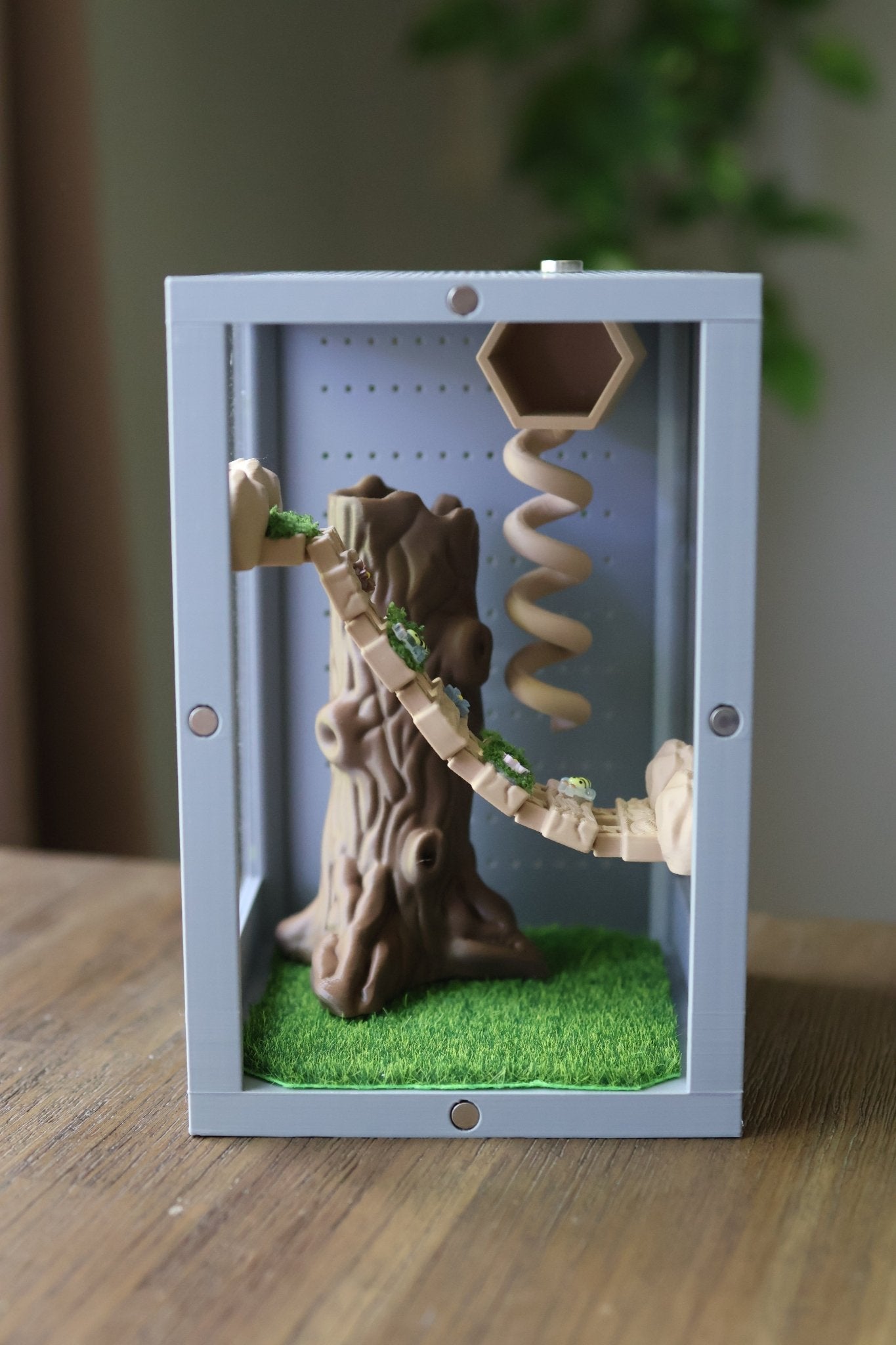 Suspensions Bridge For Jumping Spider Enclosure jumping spider - Spooder Nook