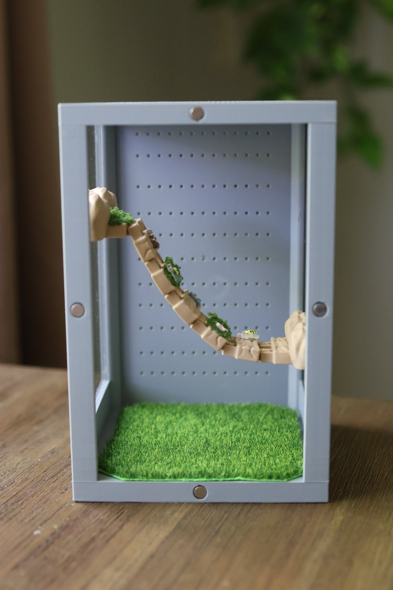 Suspensions Bridge For Jumping Spider Enclosure jumping spider - Spooder Nook