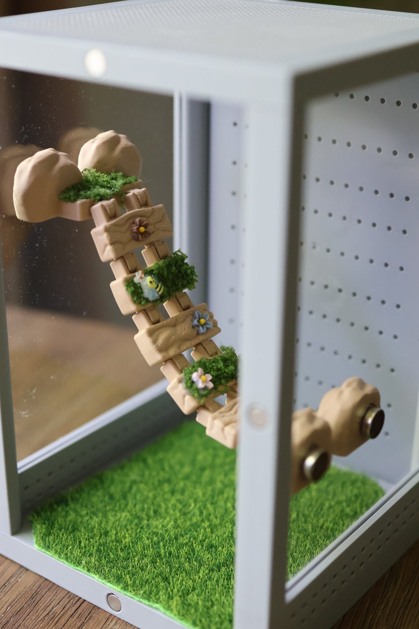 Suspensions Bridge For Jumping Spider Enclosure jumping spider - Spooder Nook