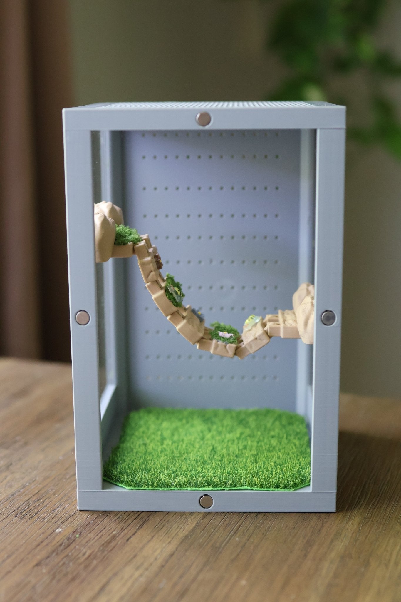 Suspensions Bridge For Jumping Spider Enclosure jumping spider - Spooder Nook
