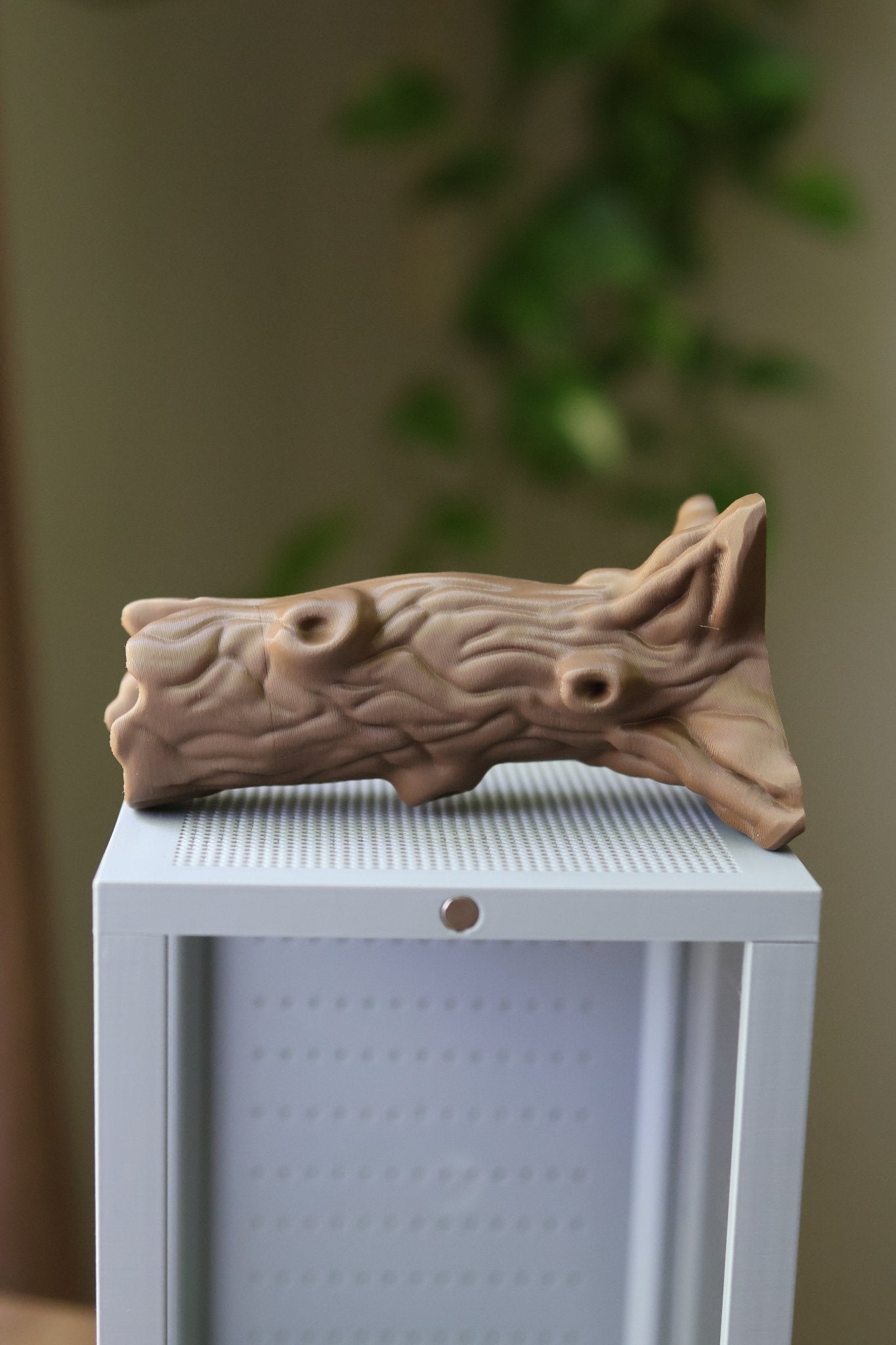 Tree Stump for Spider Enclosures - Natural style Terrarium Decor for Vivariums jumping spider - Spooder Nook