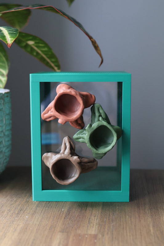 Tree Stump Hideout for Jumping Spider - Arboreal Spider Shelter jumping spider - Spooder Nook