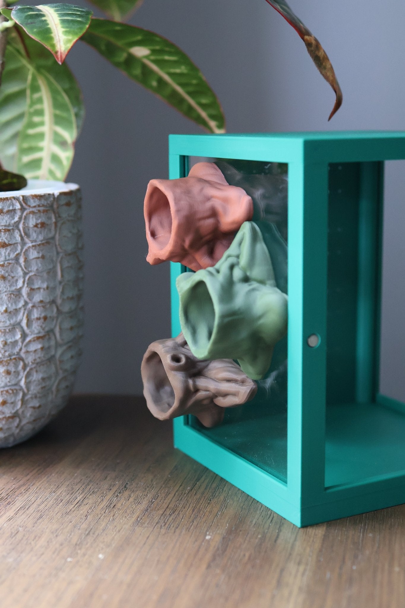 Tree Stump Hideout for Jumping Spider - Arboreal Spider Shelter jumping spider - Spooder Nook